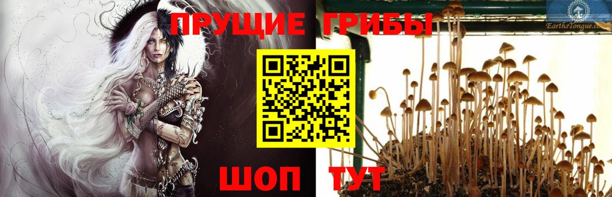 Псилоцибиновые грибы Psilocybe  цена   Великие Луки  Псилоцибиновые грибы Magic Shrooms  Вход с VPN 